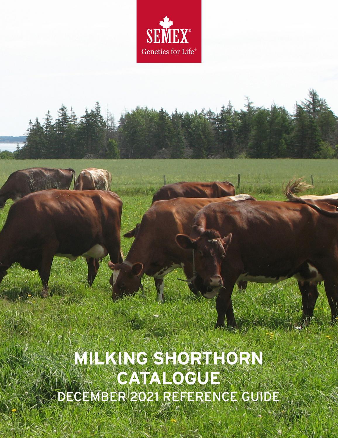 Semex Milking Shorthorn Catalogue December 2021 by Semex Issuu