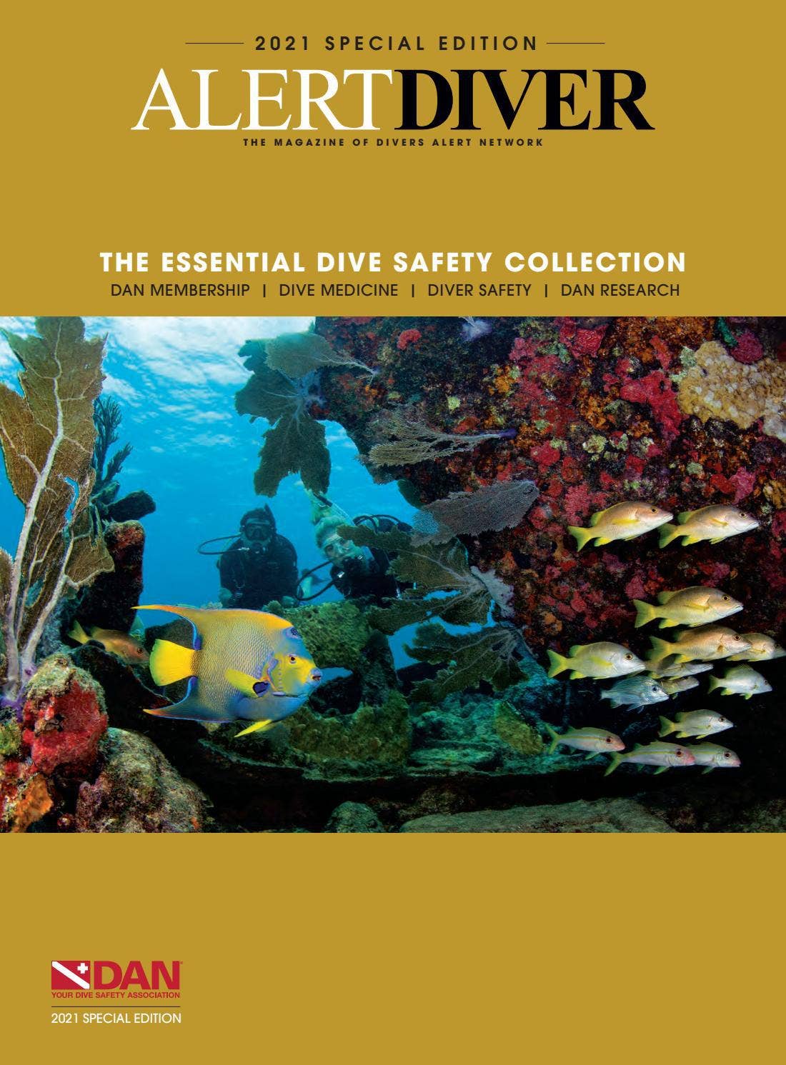 Alert Diver 2021 Special Edition (DAN World Edition) by Divers-Alert ...
