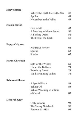 Out There: MA Nature × Travel Writing Anthology 2021 第 5 页