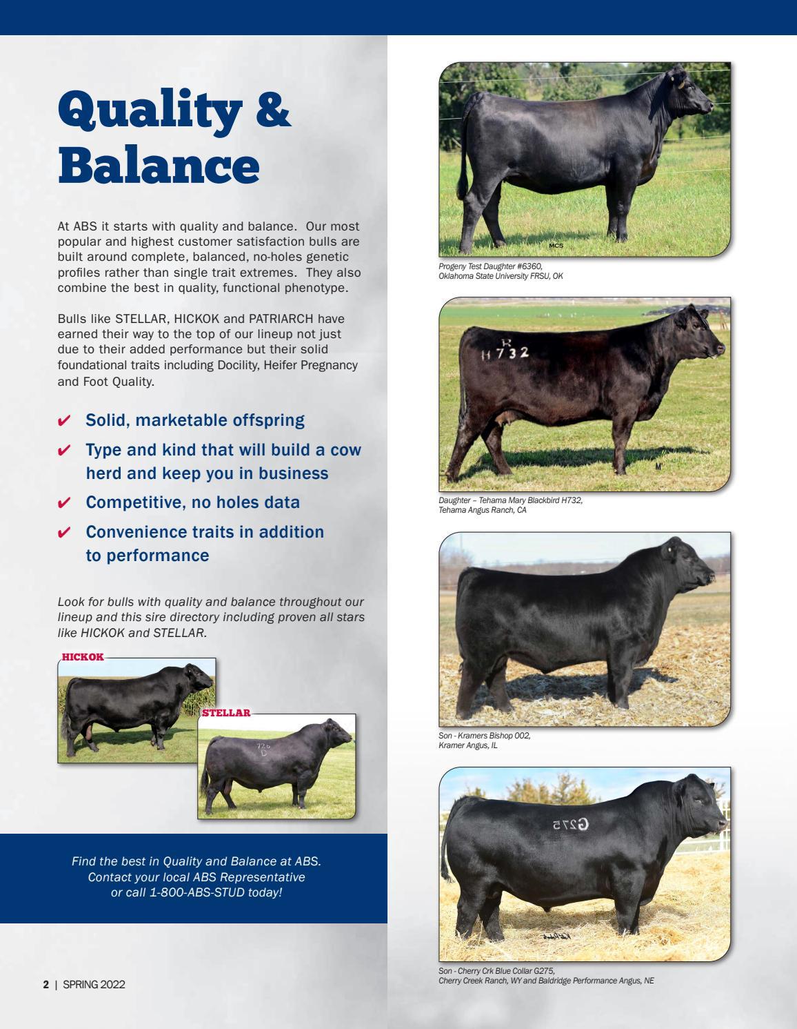 2022 ABS Beef Sire Directory by ABS Global, Inc. Issuu