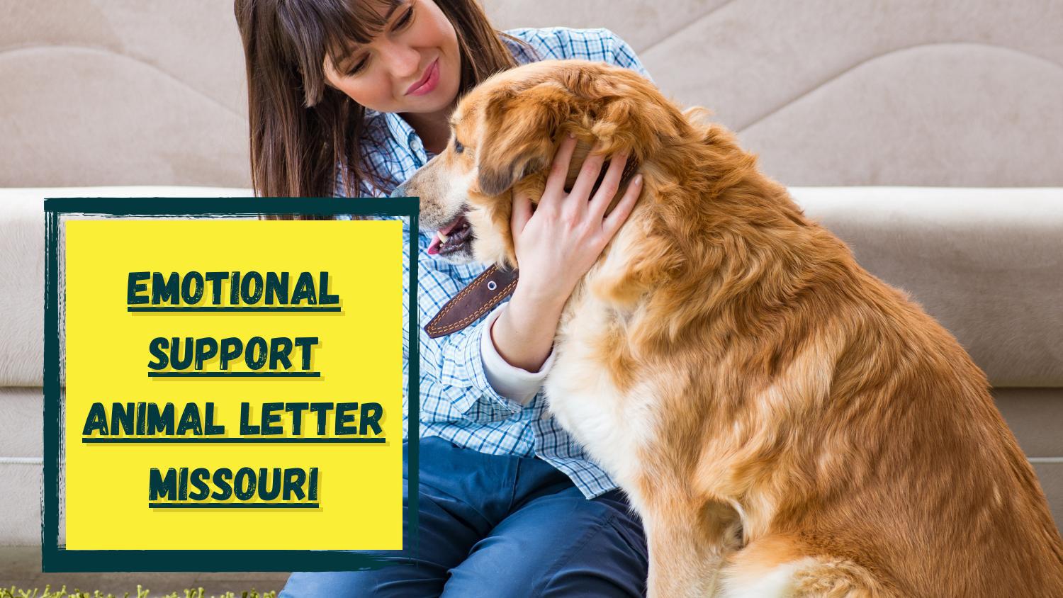 get-an-emotional-support-animal-in-missouri-by-emily-issuu