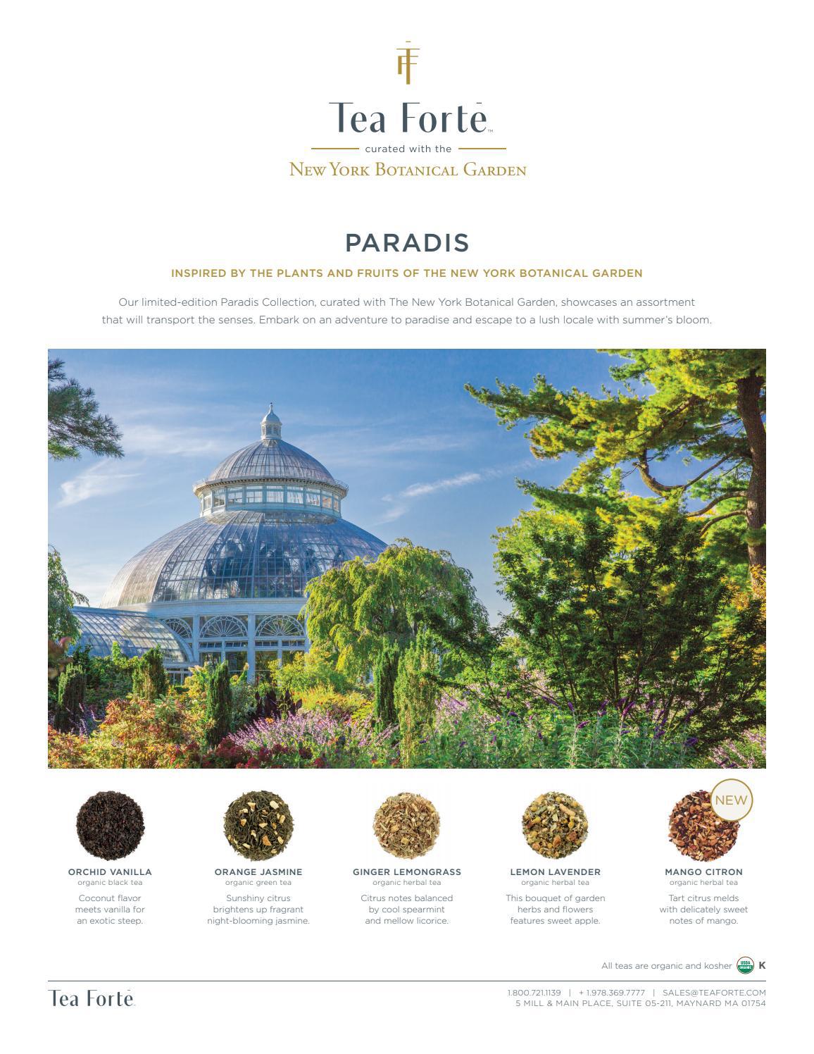 Tea Forte Paradis Sell Sheet by Just Got 2 Have It! Issuu