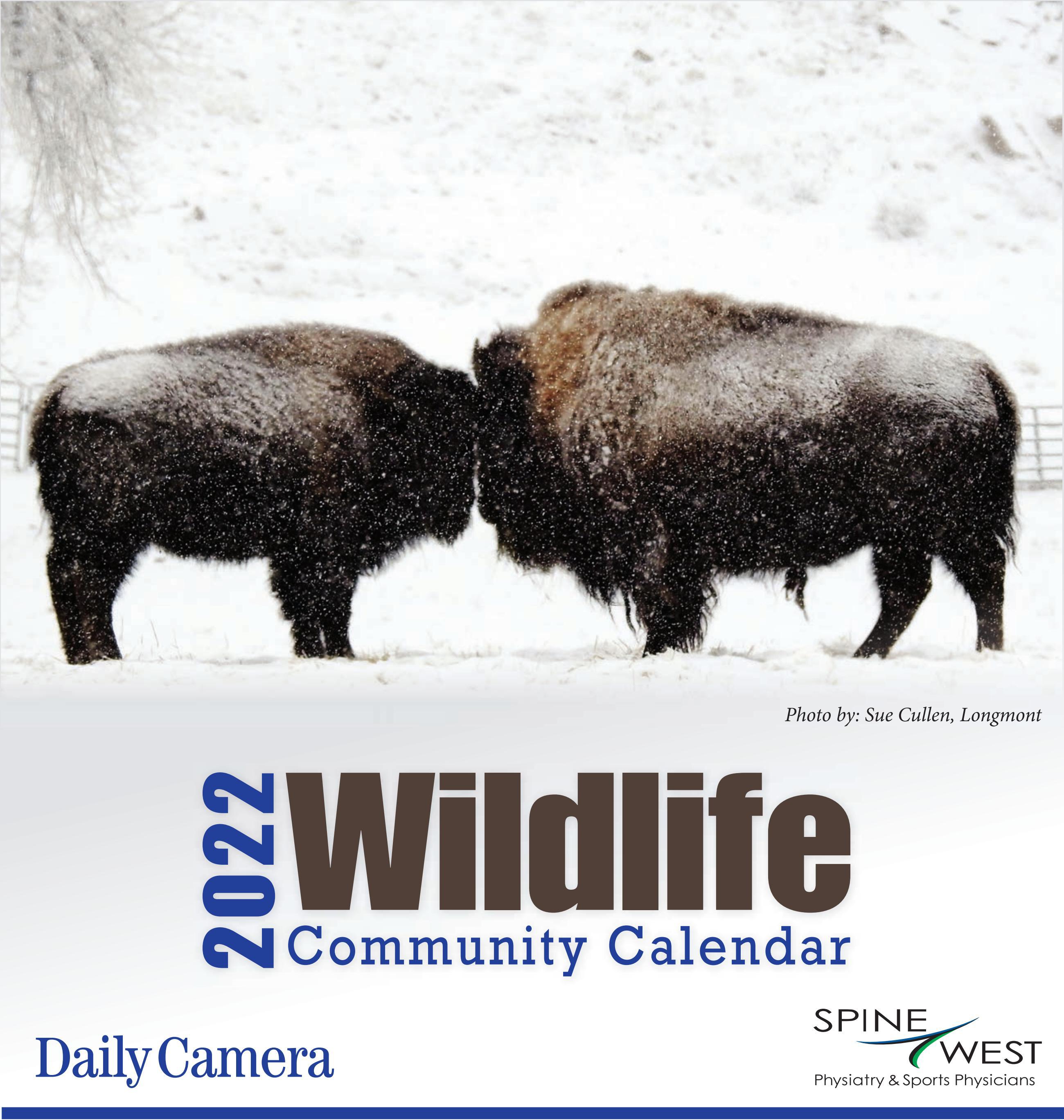 Daily Camera 2022 Wildlife Calendar by Prairie Mountain Media Issuu
