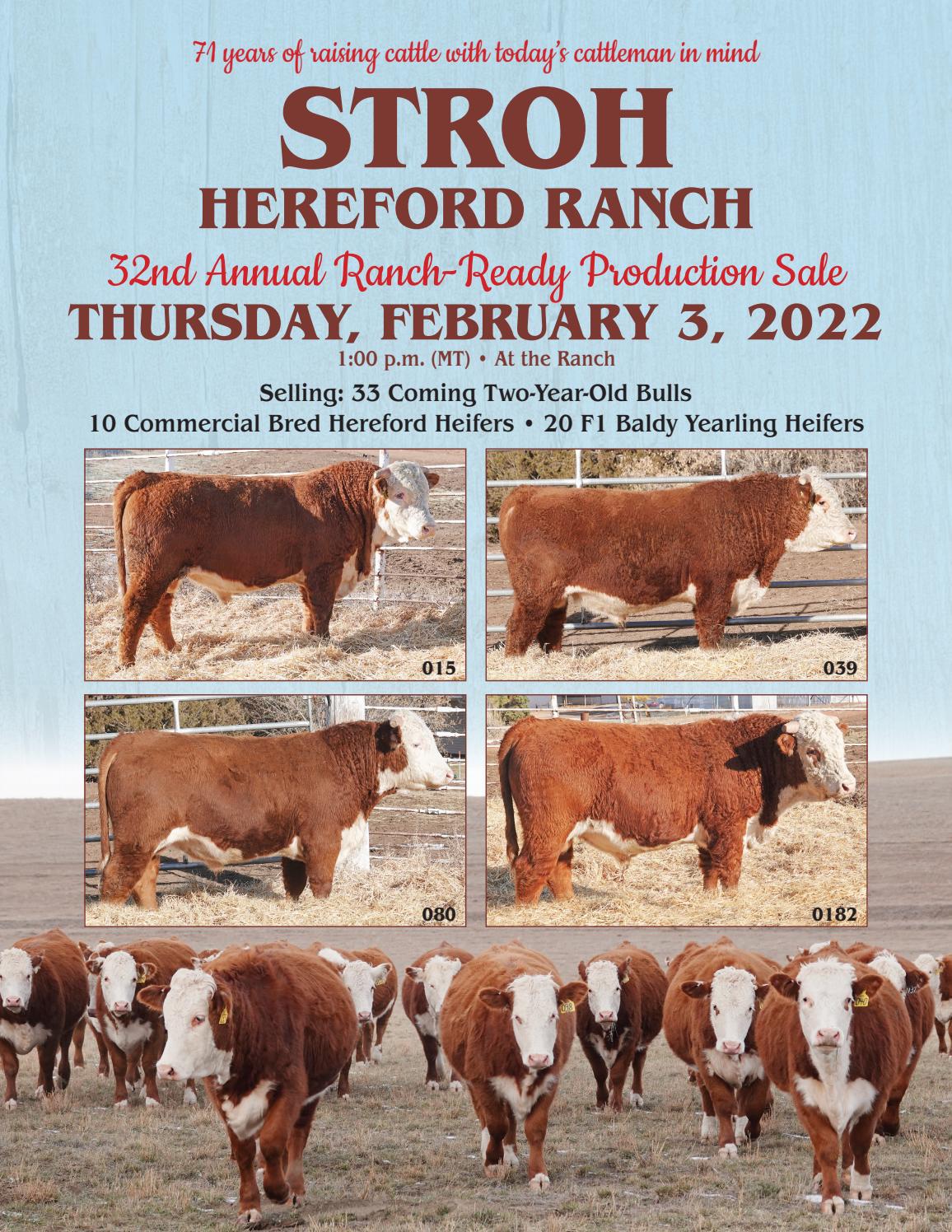 Stroh Hereford Ranch 32nd Annual Ranch Ready Production Sale by Matt