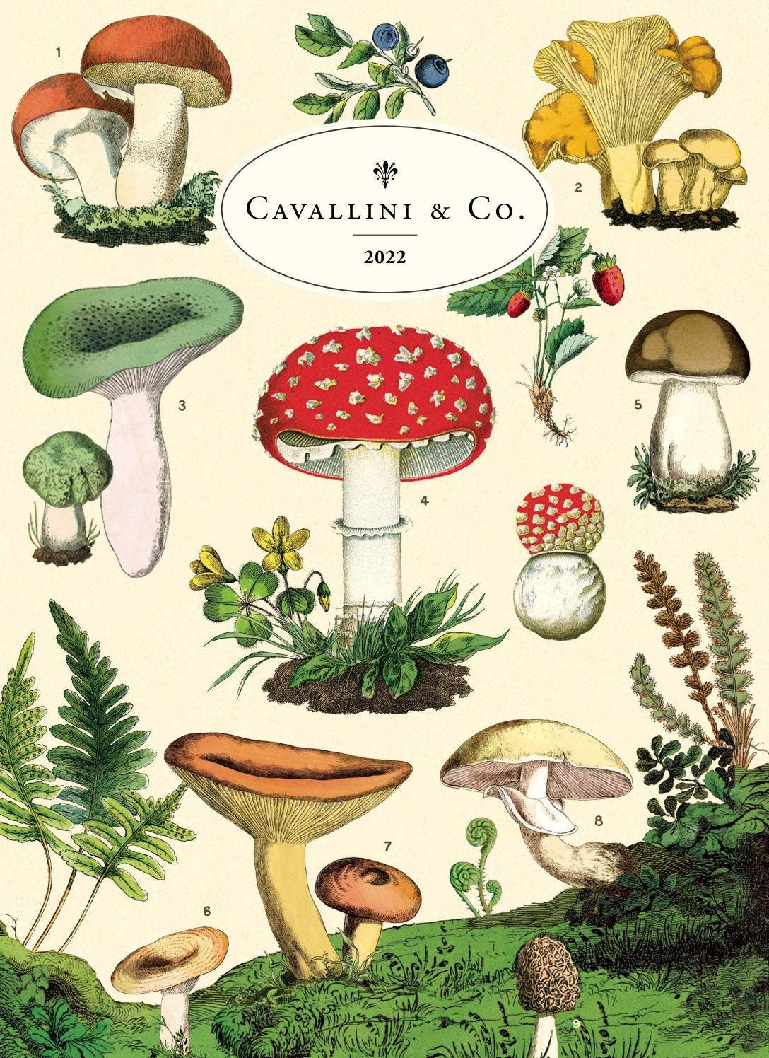 Cavallini 2022 Catalog by Cavallini Papers & Co., Inc Issuu