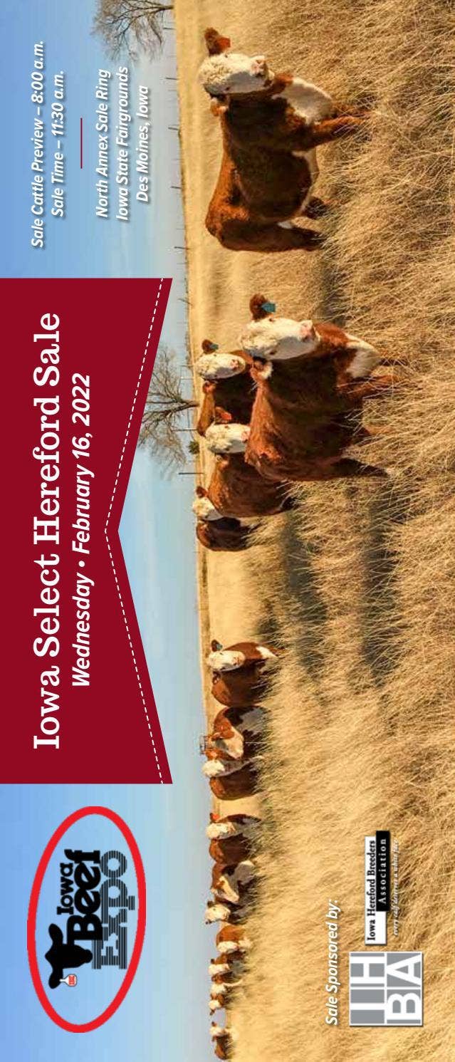 Iowa Beef Expo Hereford Sale by American Hereford Association Issuu