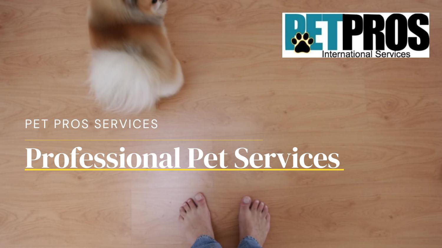 Shipping Animals By Air Pet Pros Services by petprosservices Issuu