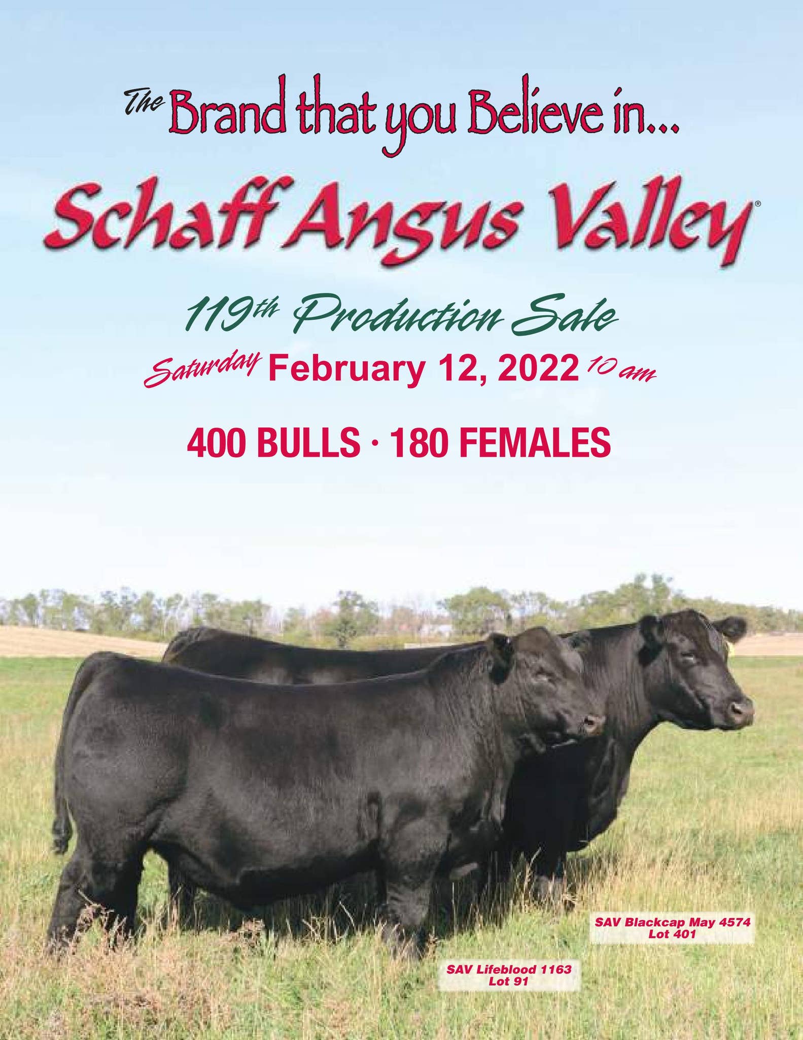 Schaff Valley Angus Sale Catalog 2022 by PeltonLivestock Issuu