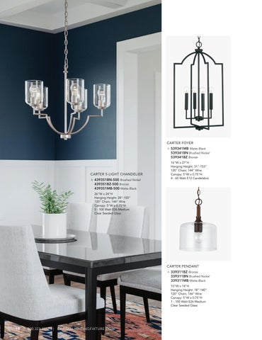 Capital Lighting 2022 Catalog 灯饰目录 · HomePlace by 第 10 页
