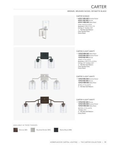 Capital Lighting 2022 Catalog 灯饰目录 · HomePlace by 第 11 页