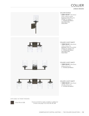 Capital Lighting 2022 Catalog 灯饰目录 · HomePlace by 第 13 页