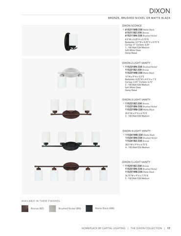 Capital Lighting 2022 Catalog 灯饰目录 · HomePlace by 第 17 页