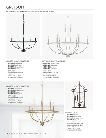 Capital Lighting 2022 Catalog 灯饰目录 · HomePlace by 第 18 页