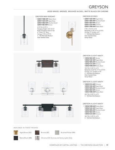 Capital Lighting 2022 Catalog 灯饰目录 · HomePlace by 第 19 页