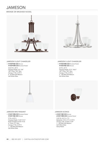 Capital Lighting 2022 Catalog 灯饰目录 · HomePlace by 第 20 页