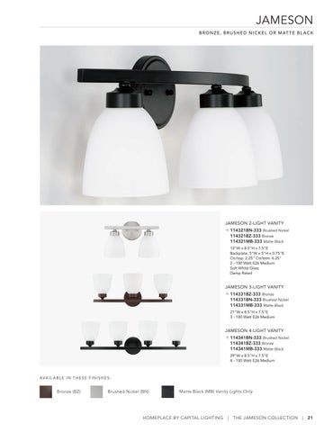 Capital Lighting 2022 Catalog 灯饰目录 · HomePlace by 第 21 页