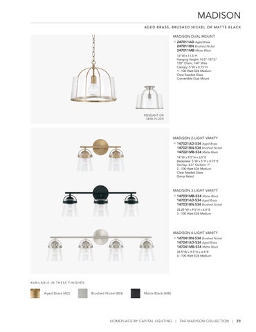 Capital Lighting 2022 Catalog 灯饰目录 · HomePlace by 第 23 页