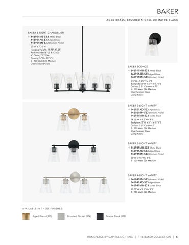 Capital Lighting 2022 Catalog 灯饰目录 · HomePlace by 第 5 页