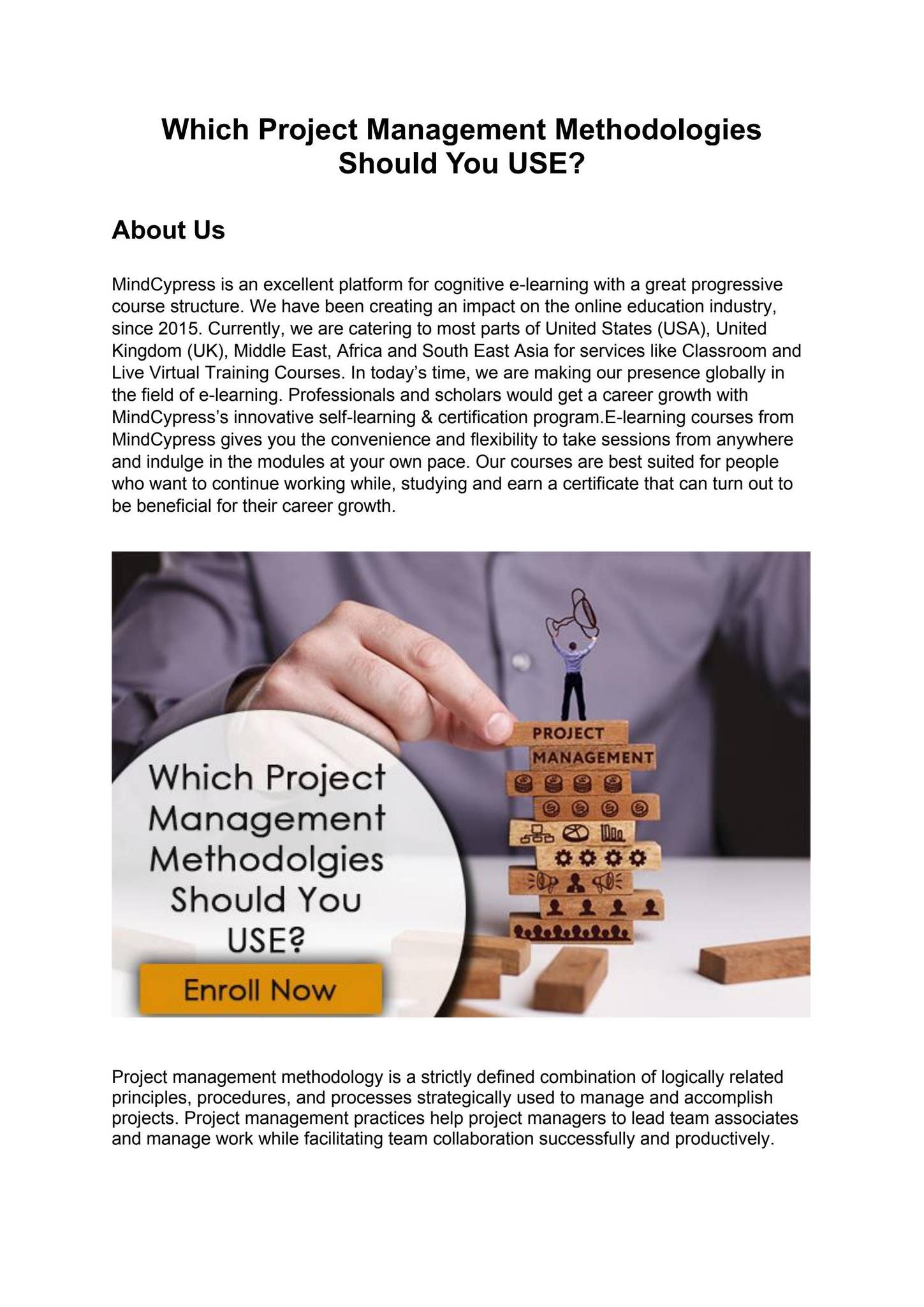 Which Project Management Methodologies Should You USE? by MindCypress ...