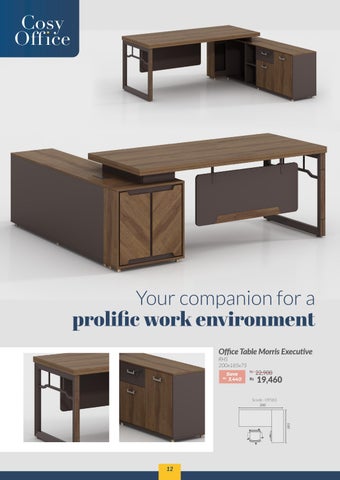 Teak World 家具目录 · Cosy 办公 I 2022 第 12 页
