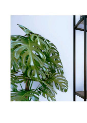 Aldo Cervantes 家具目录 · Manual 德文 Mobiliario. Modular 书桌 . 第 22 页