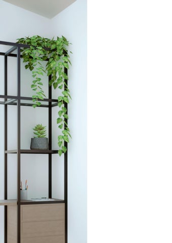 Aldo Cervantes 家具目录 · Manual 德文 Mobiliario. Modular 书桌 . 第 4 页