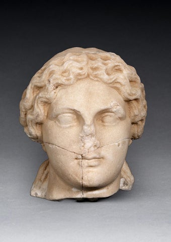 Alexander the Great 第 8 页