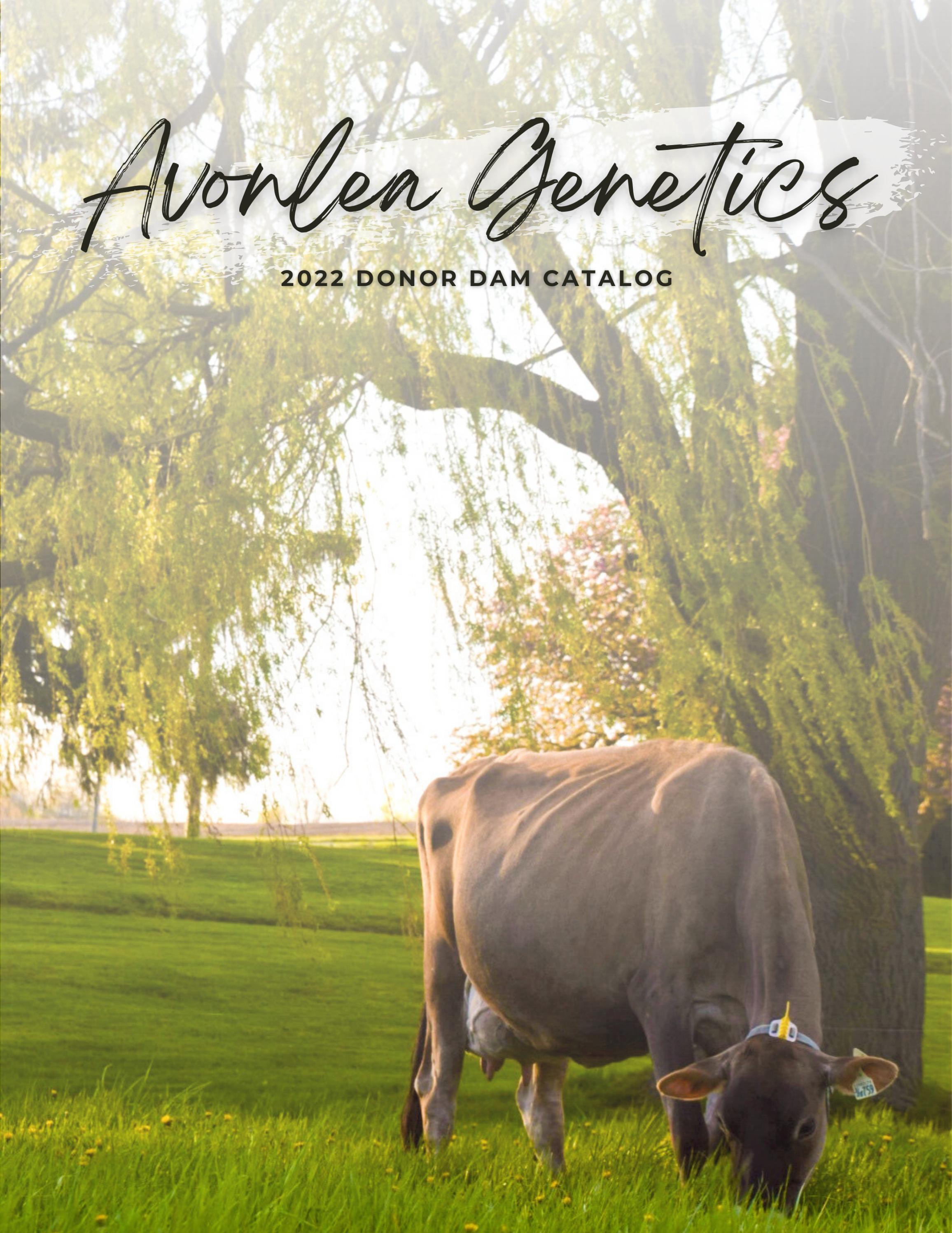 Avonlea Inc Donor Catalog January 2022 by Jen Issuu