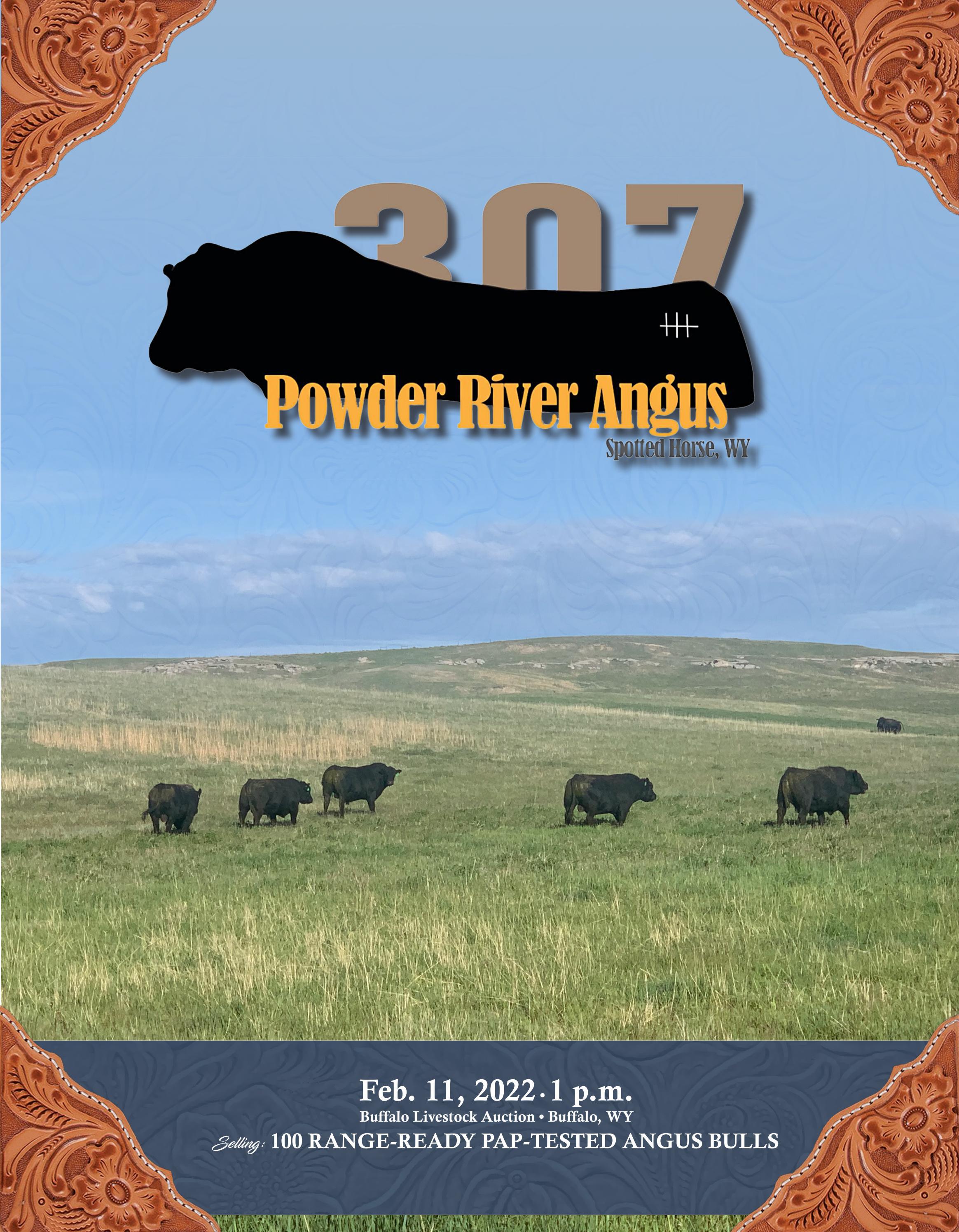 Powder River Angus Sale Catalog 2022 by PeltonLivestock Issuu