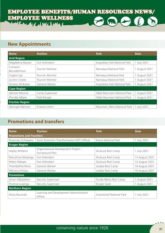 Page 31