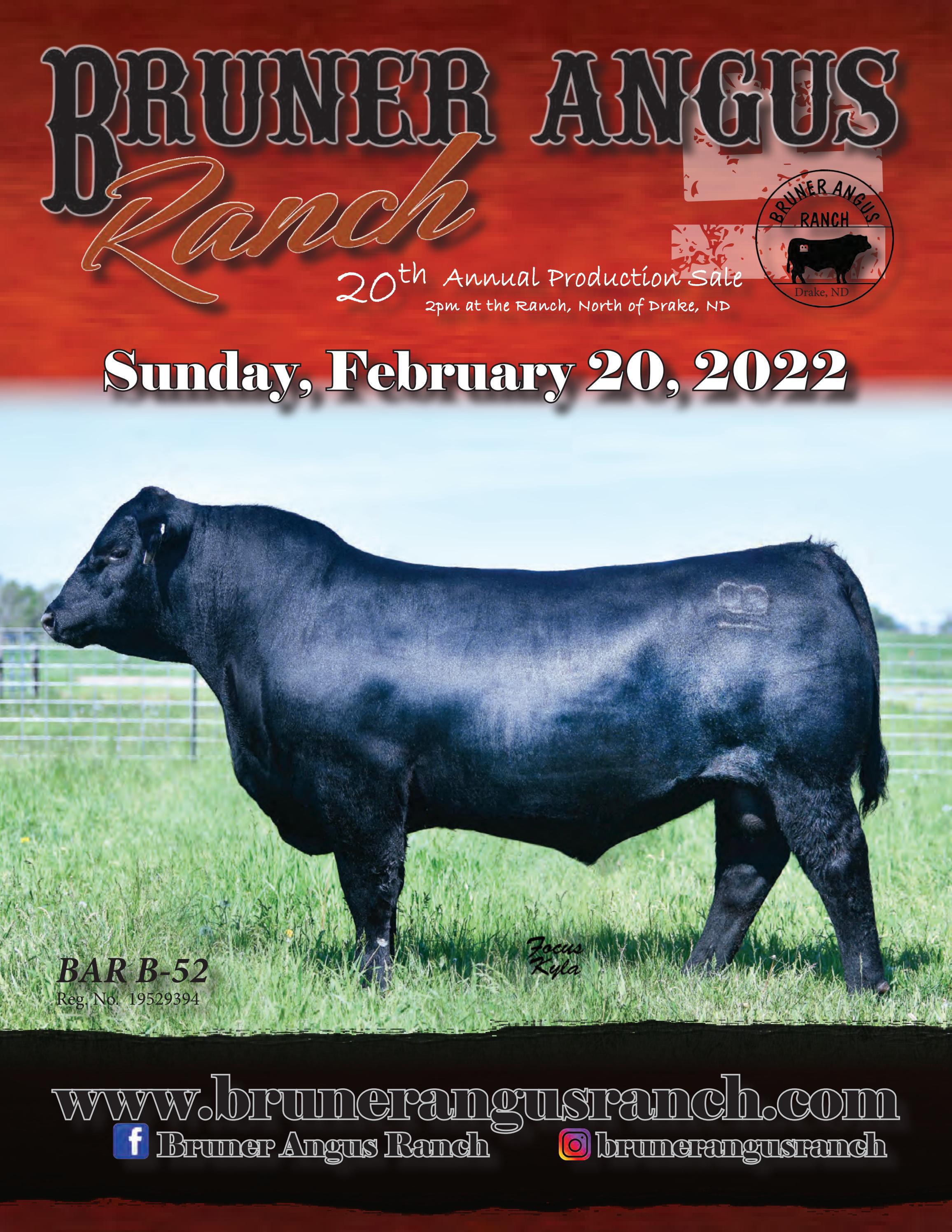 Bruner Angus Ranch Sale Catalog 2022 by PeltonLivestock Issuu