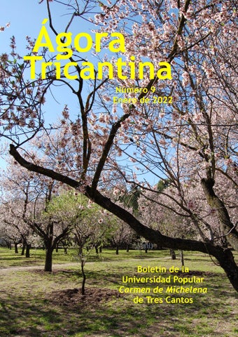 Cover of "Ágora Tricantina nº 9"