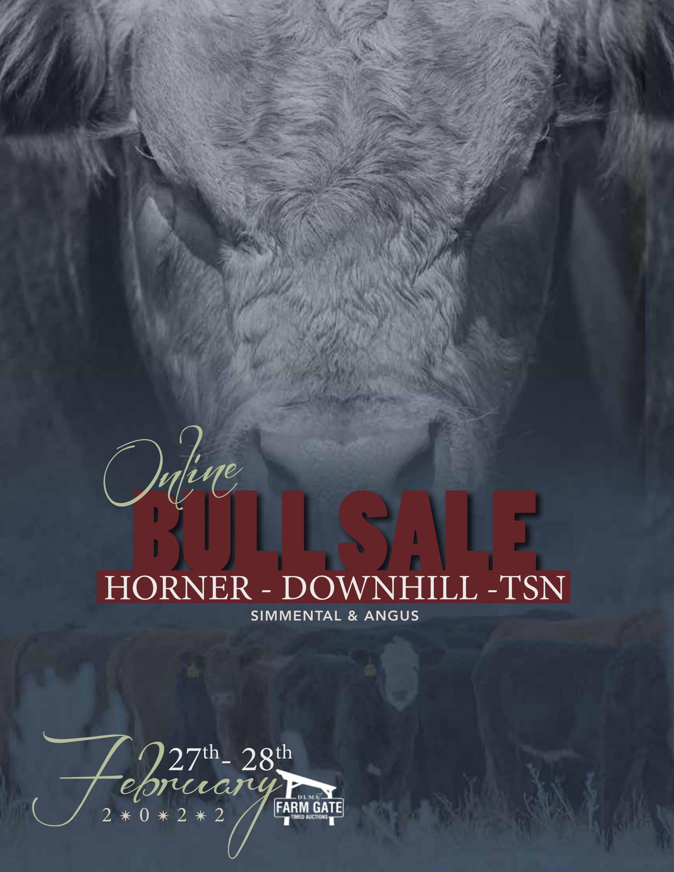 Horner/Downhill/TSN Online Bull Sale 2022 by First Class Cattle