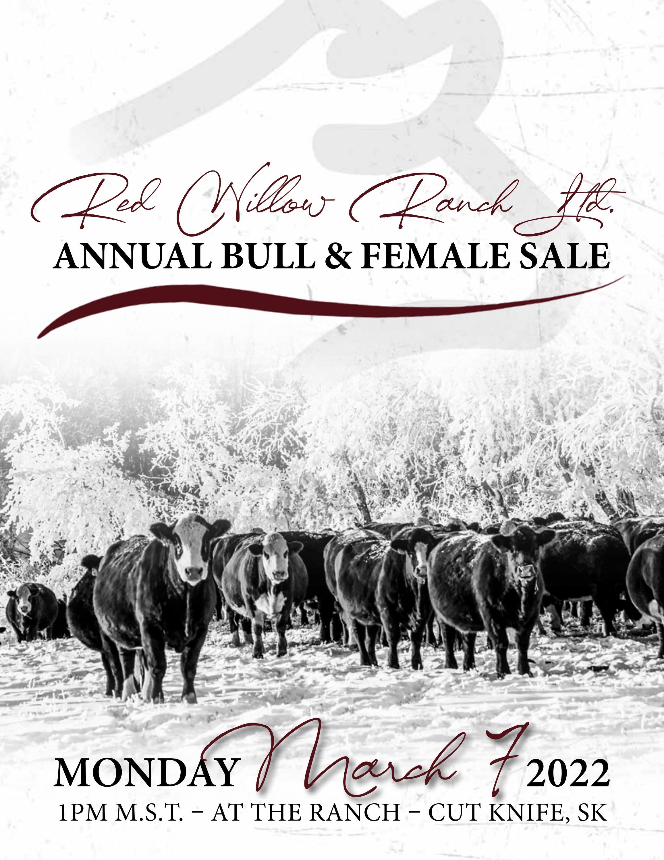Red Willow Ranch Bull & Female Sale by Bohrson Marketing Services Ltd