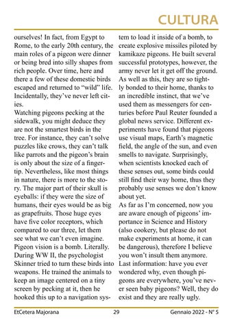 Page 29