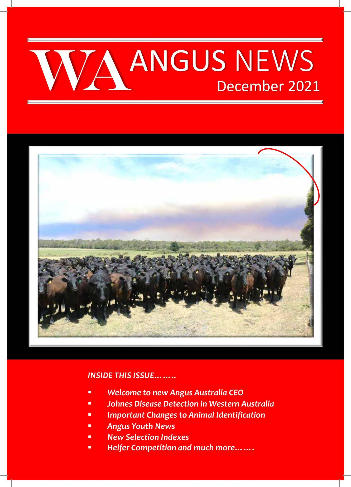 WA_Angus_News_December_2021 by WA Angus News - Issuu