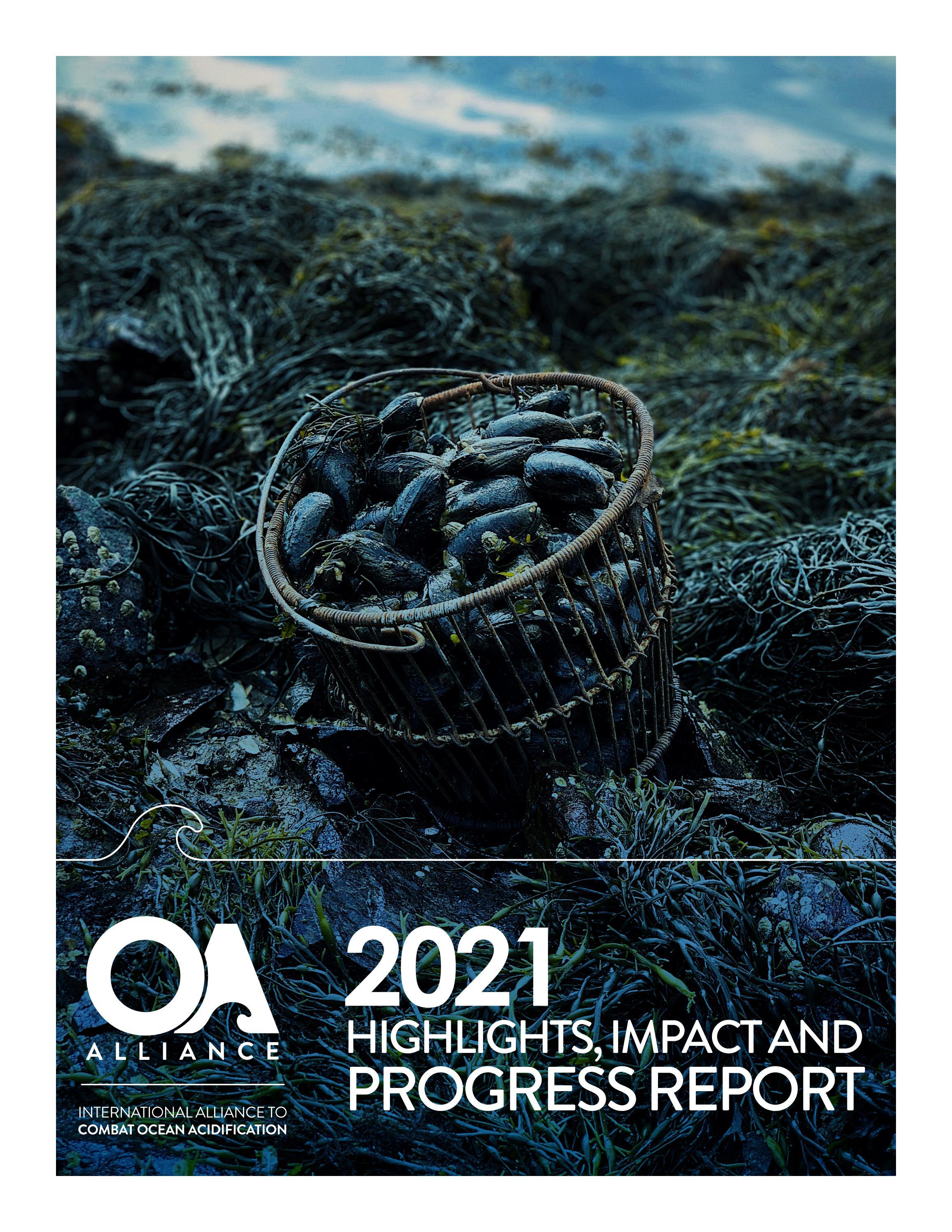 Oa Alliance 2021 Progress Report By Oa Alliance Issuu