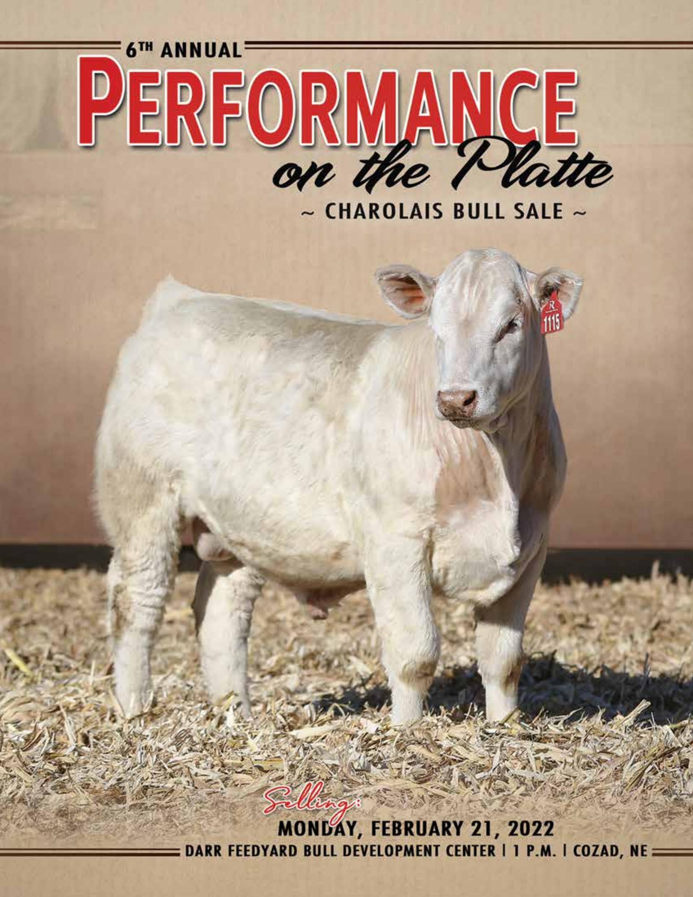 Charolais Bull Catalogue Catalog Library