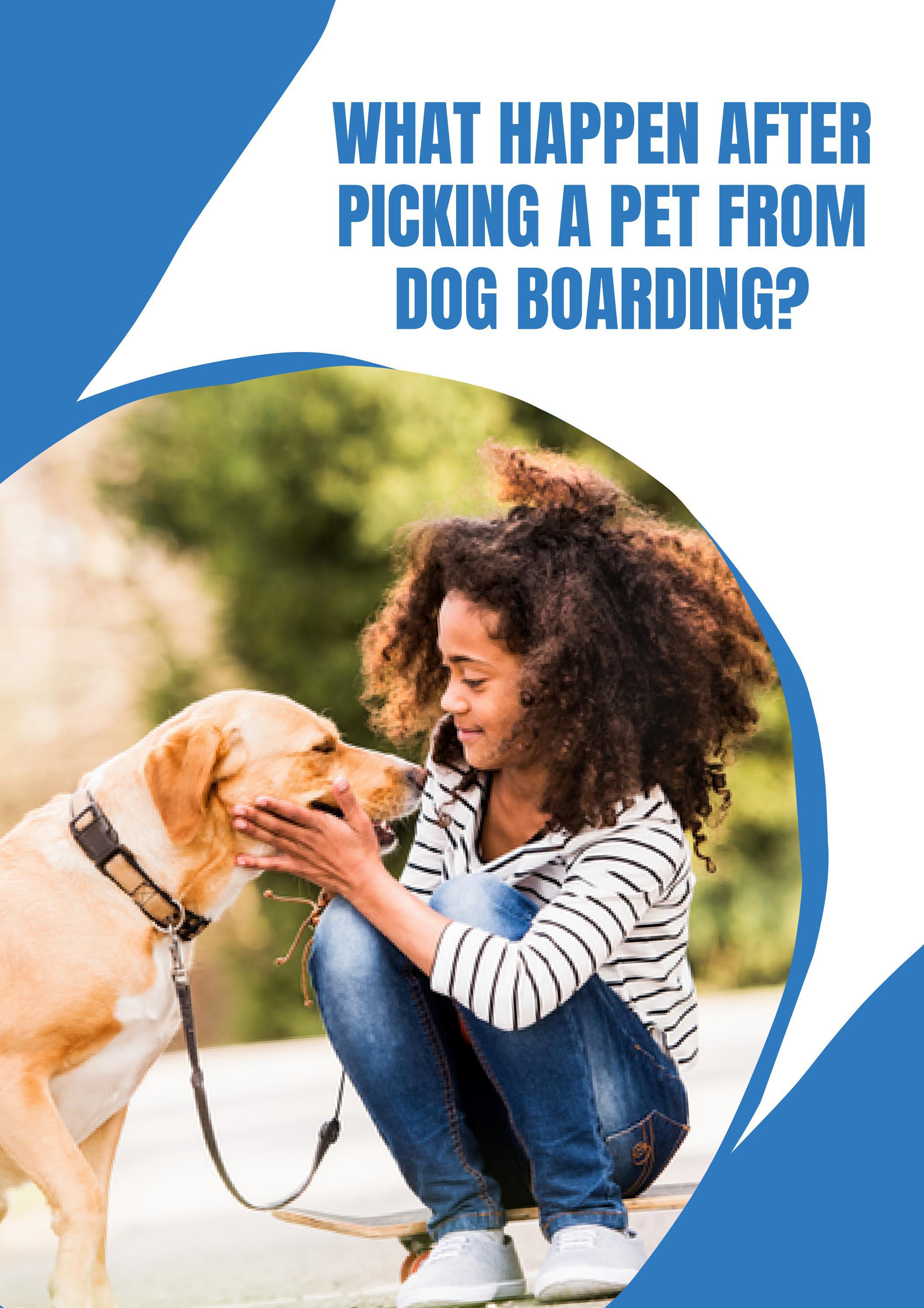 Best Dog Boarding Facility by dogkennel Issuu
