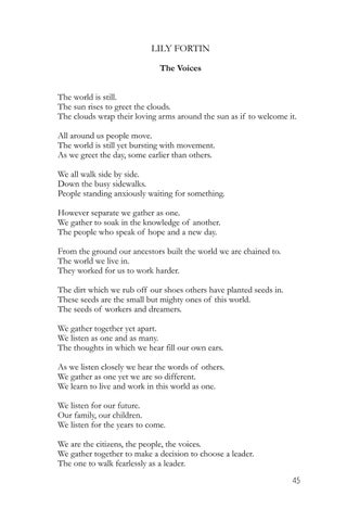 Page 45