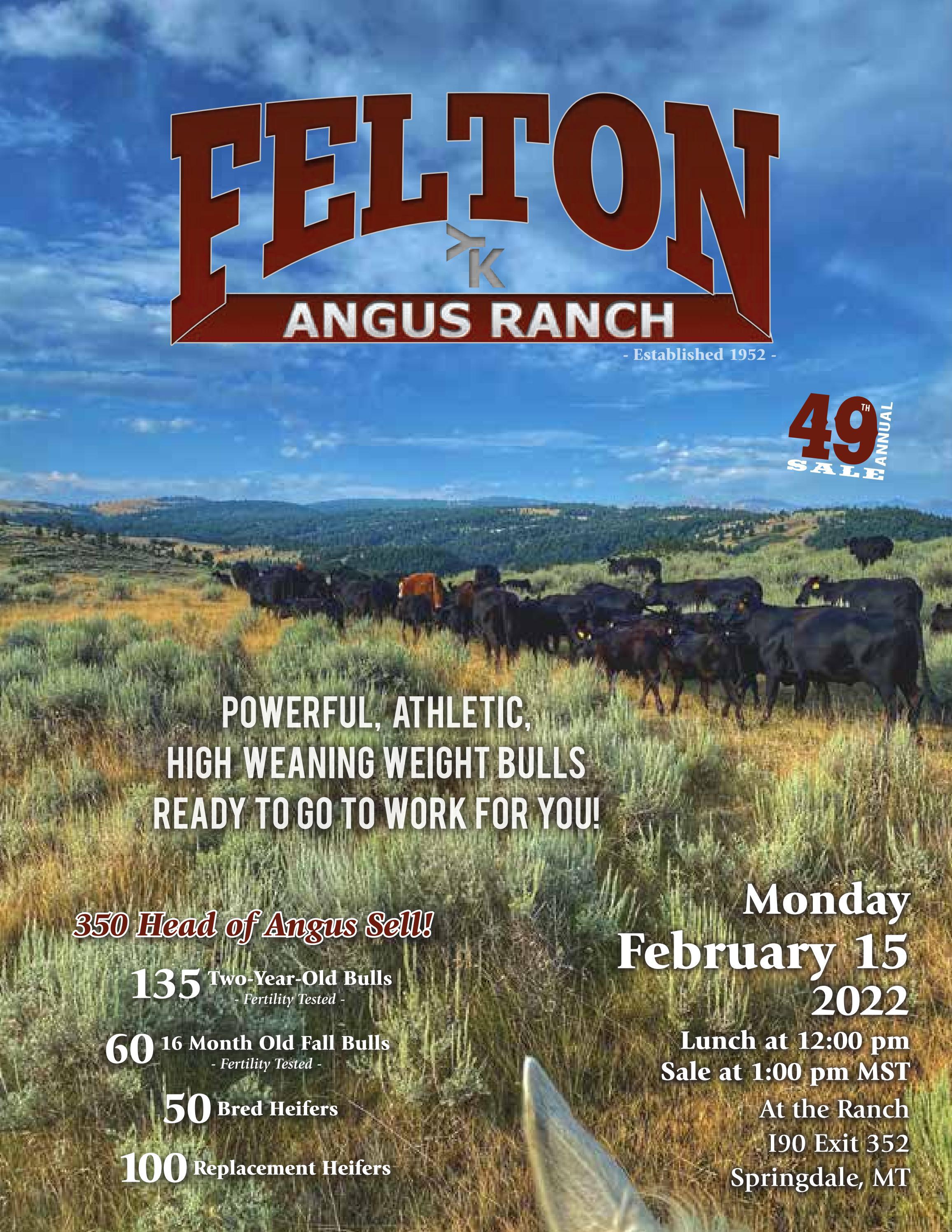 Felton Angus Ranch Sale Catalog 2022 by PeltonLivestock Issuu