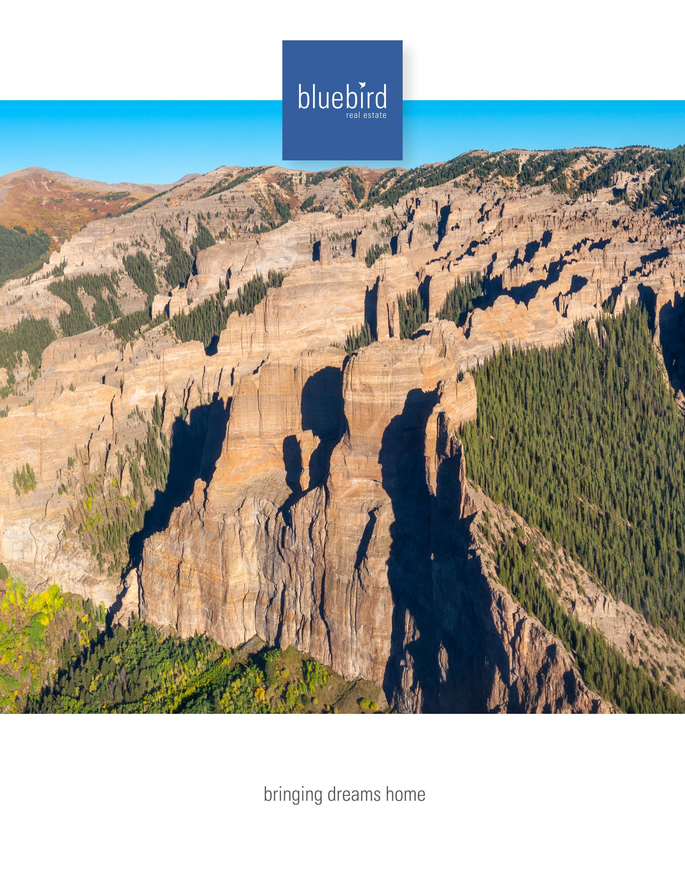 Birdseye View Gunnison Market Snapshot YearEnd 2021 by Bluebird