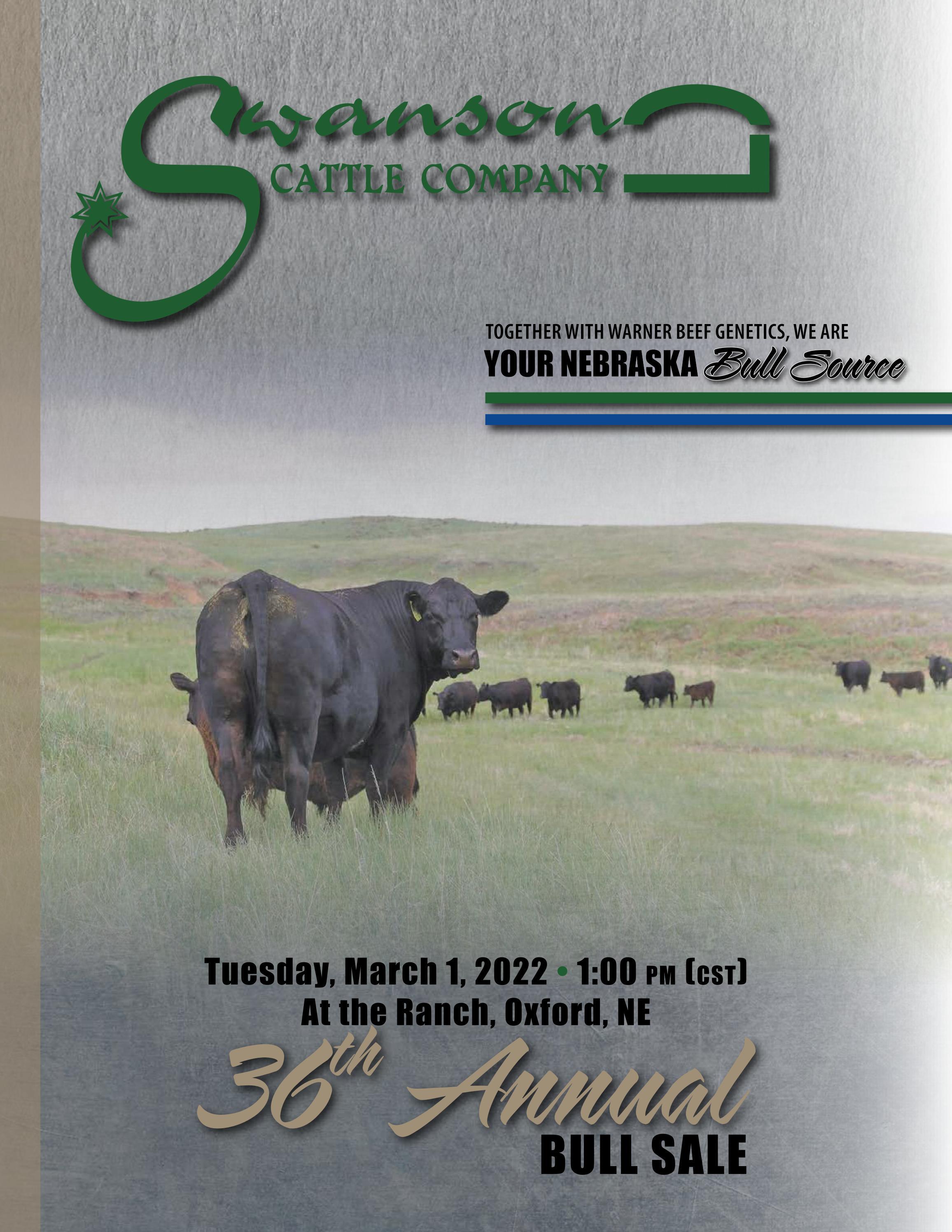 2022 Swanson Cattle Co Bull Sale by Julie Murnin Issuu