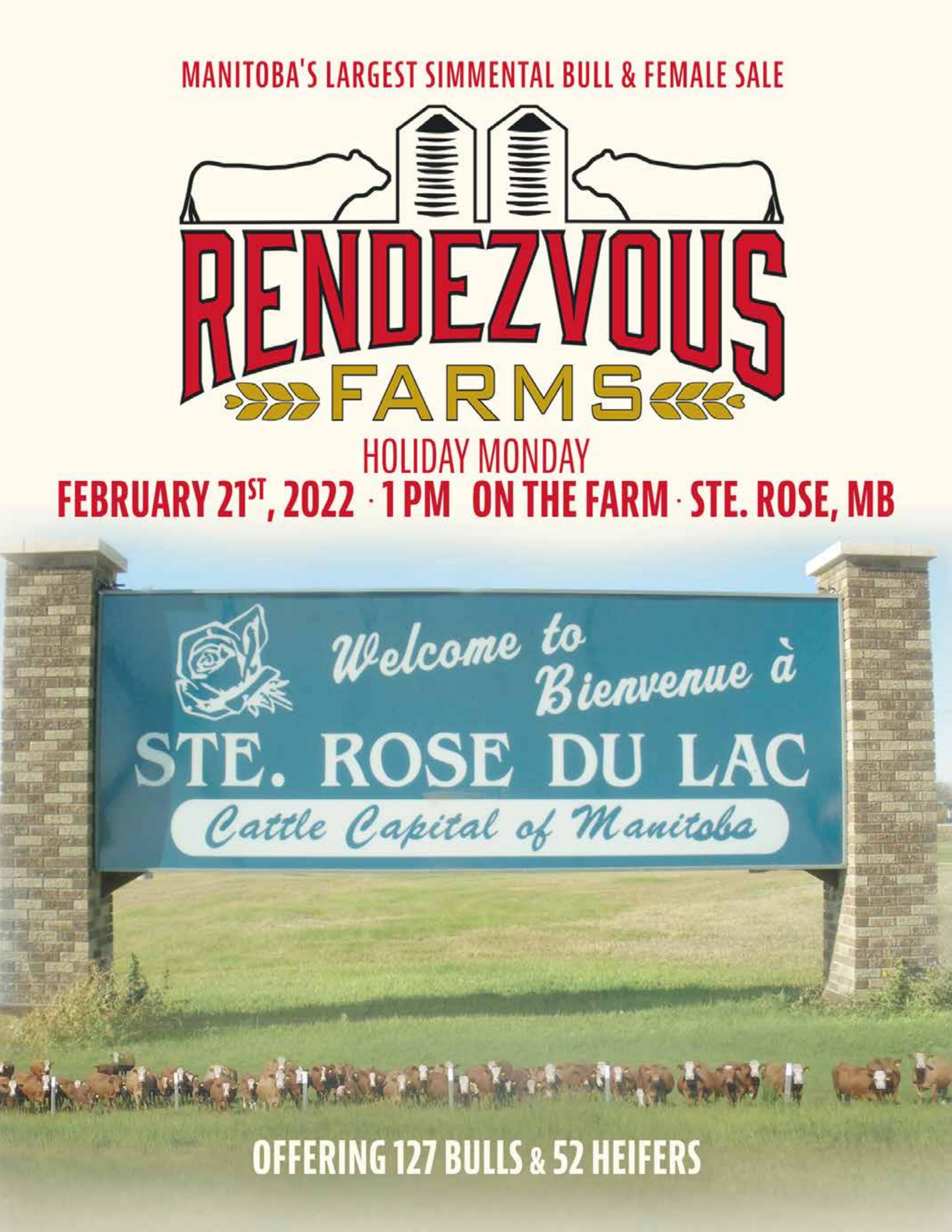 Rendezvous Farms 18th Annual "Holiday Monday" Simmental Bull & Female Sale Ste Rose Du Lac, MB