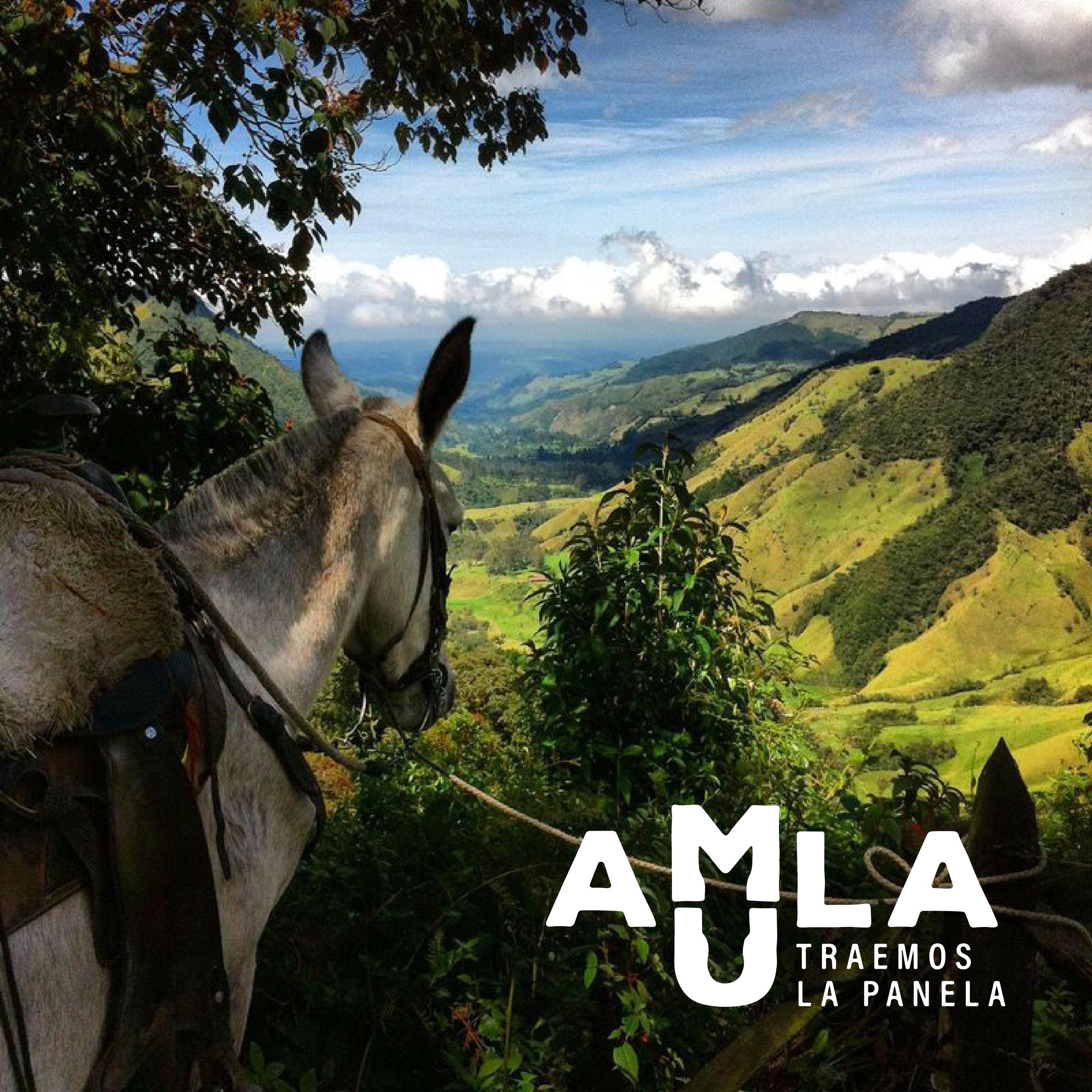 Amula Rajender AMULA - Experience design by ARTUDT - Issuu
