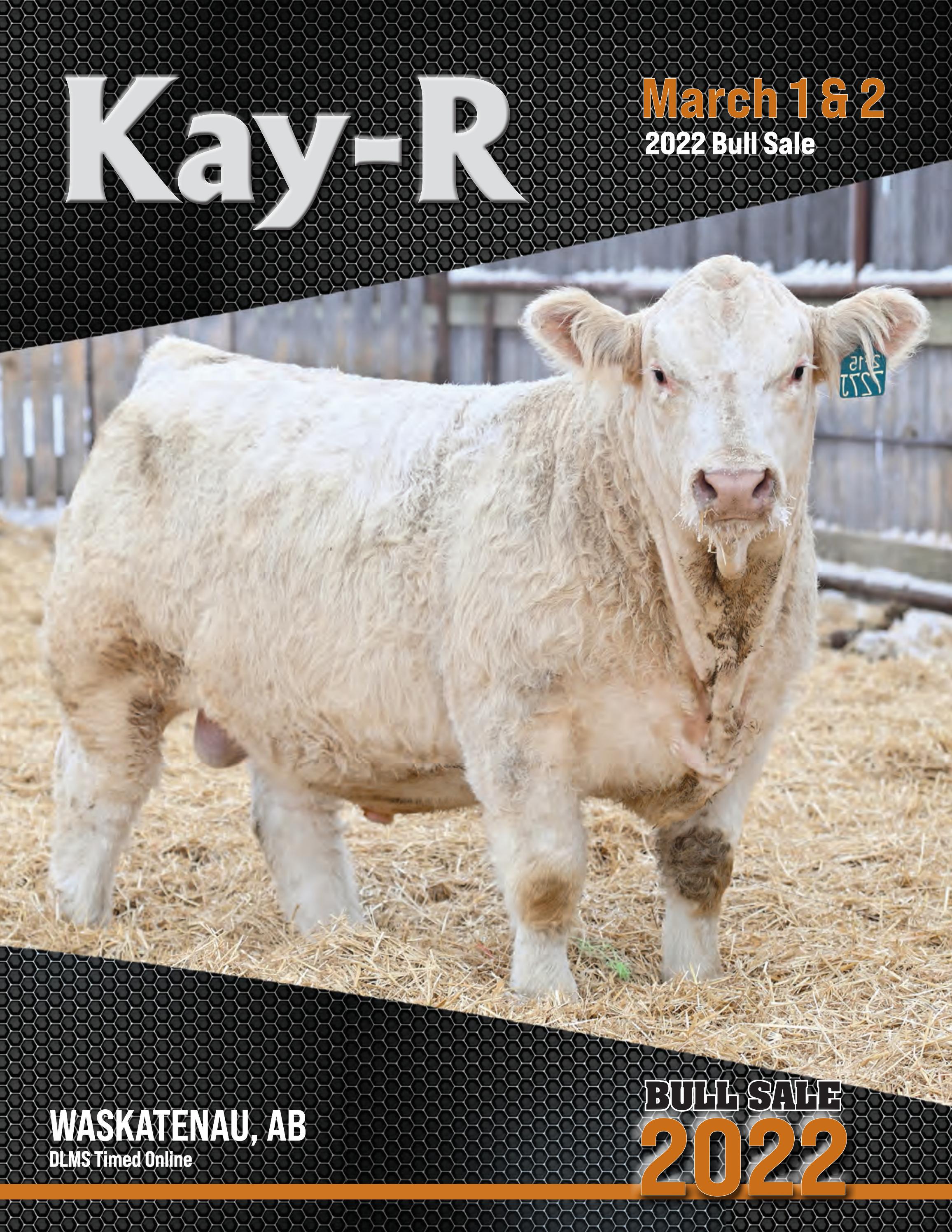 Kay-R 2022 Bull Sale by Today's Publishing Inc. - Issuu