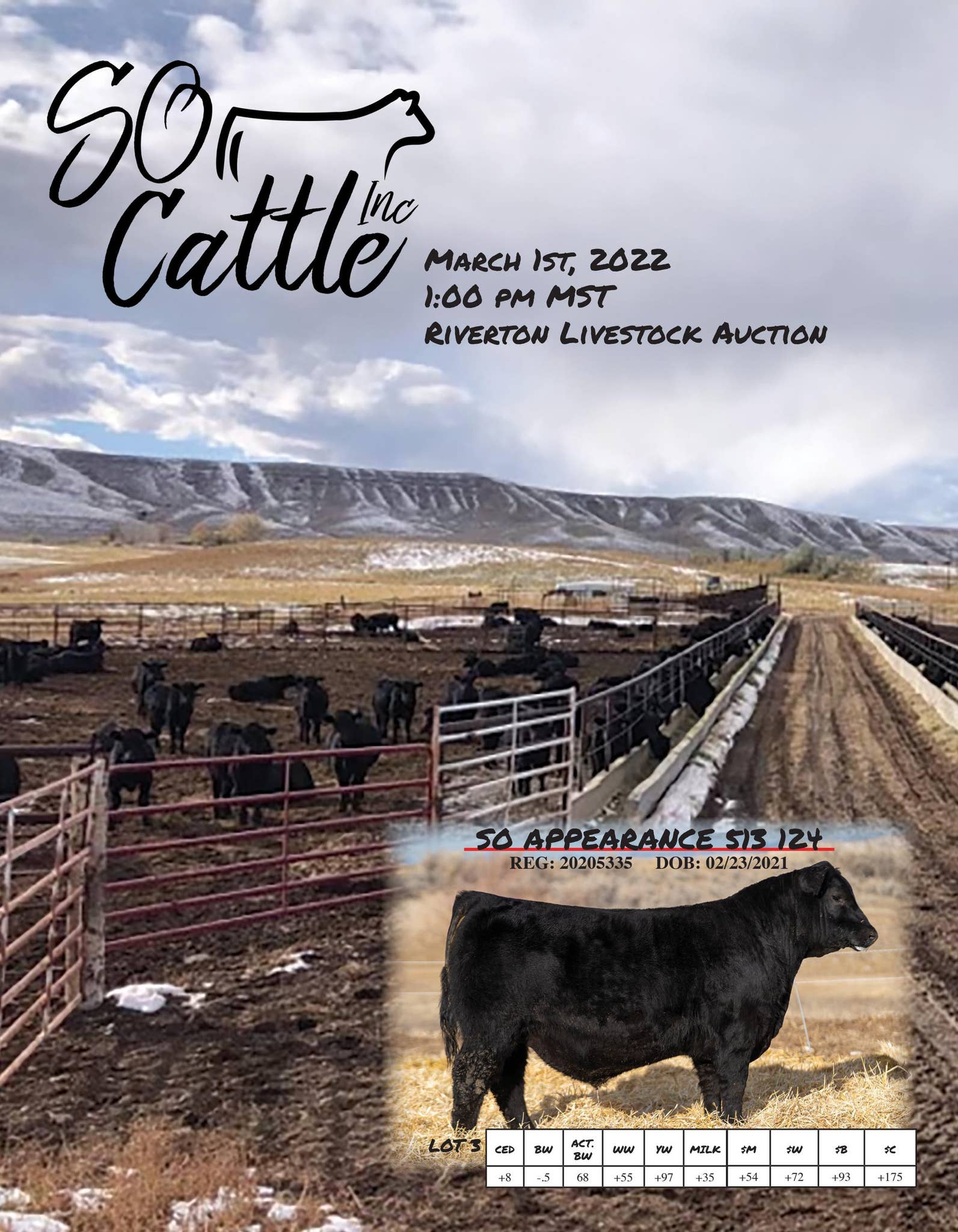 SO Cattle Sale Catalog 2022 by PeltonLivestock Issuu