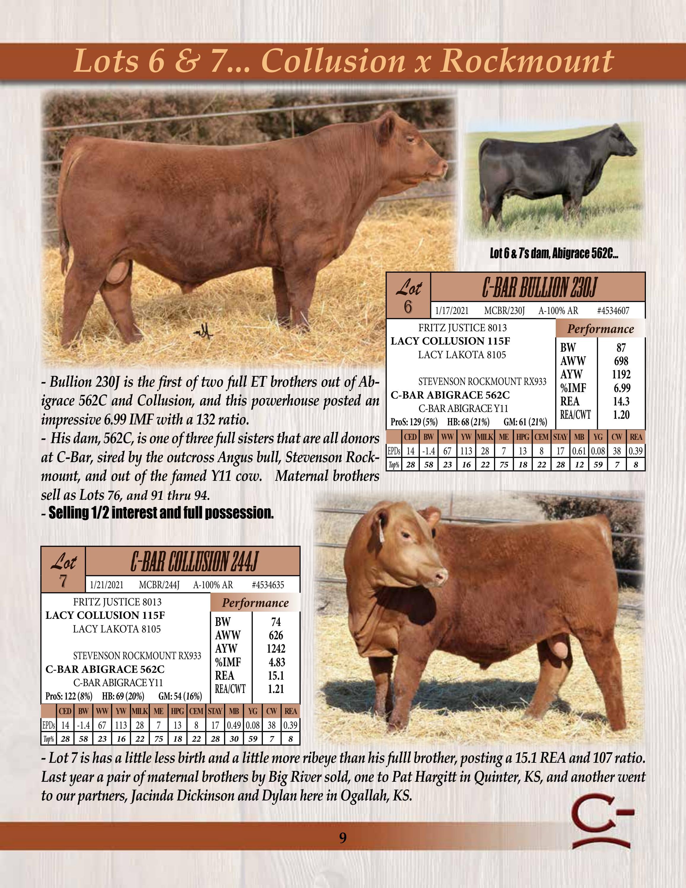 C Bar Ranch 2022 Annual Bull Sale By Msn5454 Issuu
