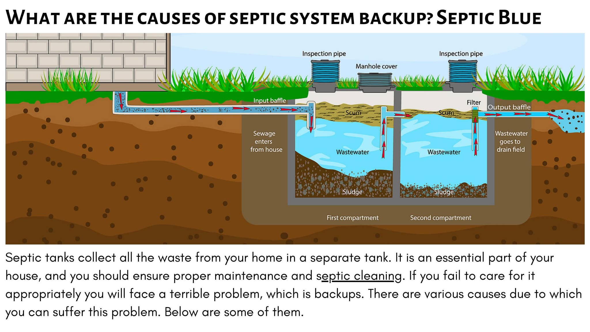 Image showcasing What are the causes of septic system backup? Septic Blue by Septic Blue ...