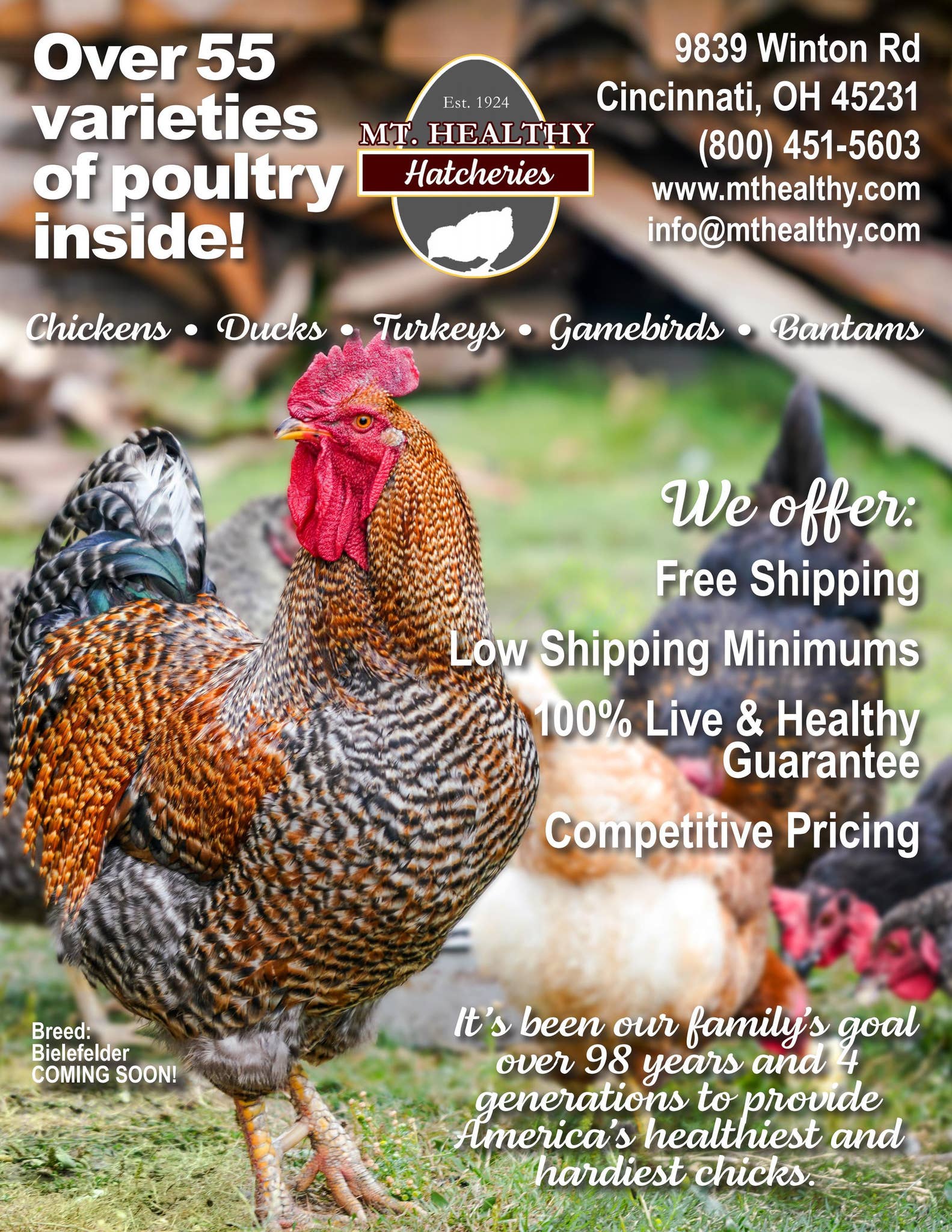 2022 Mt. Healthy Hatcheries Product Catalog by mthealthyhatcheries Issuu